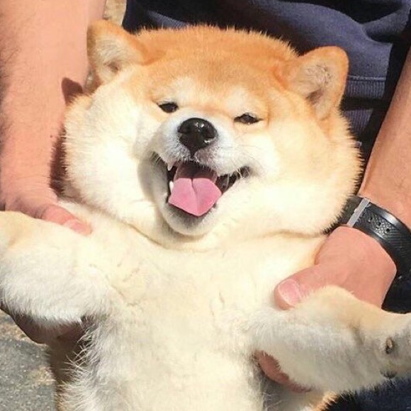 Meet your Posher, Denise - Picture 1 of 1